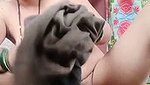 Hot Village bhabhi showing her pink pussy  pissing