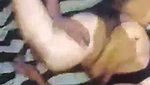 Tamil aunty pussy licking