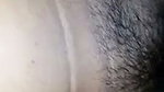 1000004040