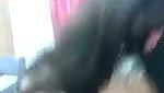 Beautiful sexy girl undress her purple saree  showing