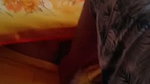 Devar using his legs to fingering his bhabhi pussy
