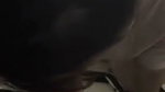 Sexy Babe Giving Sloppy Blowjob Taking Cum In Mouth 2