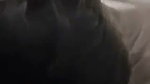 Hot girlfriend give deeply Blowjob