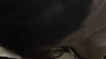 Hot girlfriend give deeply Blowjob