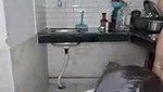 Pregnant bhabhi give Blowjob to devar