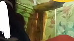 Village bhabhi showing her pink juice pussy  boob