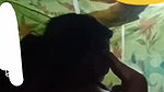 Village bhabhi showing her pink juice pussy  boob