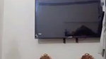 Paki girl fingering