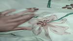 Beautiful Mallu Bhabhi Multiple Clips 1