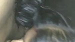 Horny Indian Wife Blowjob Video