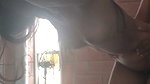 Boyfriend drilling his gf hard
