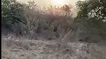 College girl fucking hard with Boyfriend outdoor