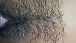 Hot aunty showing her hairly pussy