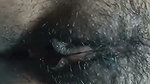 Hot aunty showing her hairly pussy