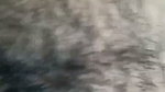 Hot aunty showing her hairly pussy
