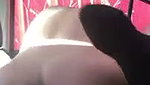 Hot girl suck dick  fucked inside car
