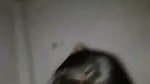 Sexy lady riding  enjoying
