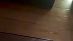 Shaggy Boobs Horny Girl Showing Masturbating With Pen