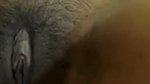 Shaggy Boobs Horny Girl Showing Masturbating With Pen