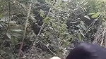 Assam couple doing jungle me Mangala