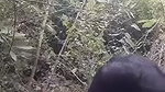 Assam couple doing jungle me Mangala