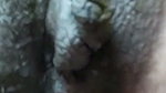 Aunty show her big boobs