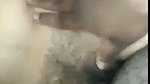 Shy beautiful girl suck cock  fucked