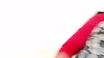 Newyorknfnf pussy show  20260827 165517 1
