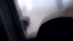 Desi Cheating Housewife Blowjob