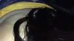 Young Teen Girl Sucking Dick of Her Friends White Boyfriend