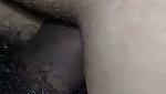 Sexy desi couple honeymoon sex