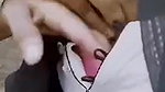 Desi  Girl Tight Boobs Sucking By Lover