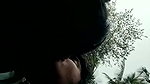 Lover Kissing Boob Sucking in The Park