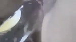 Naughty Boys Inserting Wine Bottle In Pussy