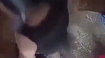 Big ass aunty fucking hard in Doggy position with neighbor