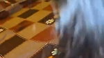 Hot girl give deeply Blowjob to bf