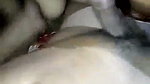Village bhabhi suck lover cock
