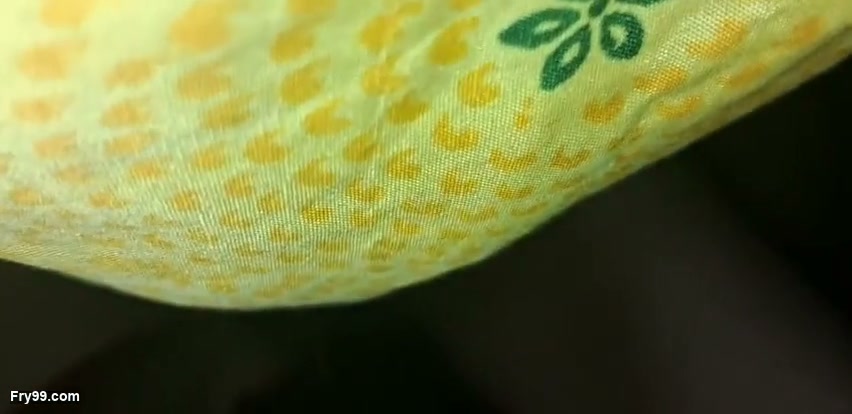 Frame 1