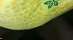 Bhabhi se chut ki masti or sex