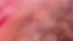 Indian Horney Lovers Having Real Close up Sex