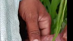 Khet mein badi bhabhi brother-in-law ji I want to suck your cock Kasu bhabhi drink the water of my lode no one in the field