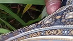 Khet mein badi bhabhi brother-in-law ji I want to suck your cock Kasu bhabhi drink the water of my lode no one in the field