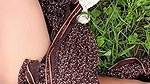 The elder daughter-in-law is writhing in the fields in the forest while cutting fodder, longing to get her ass fucked with her fingers in her pussy