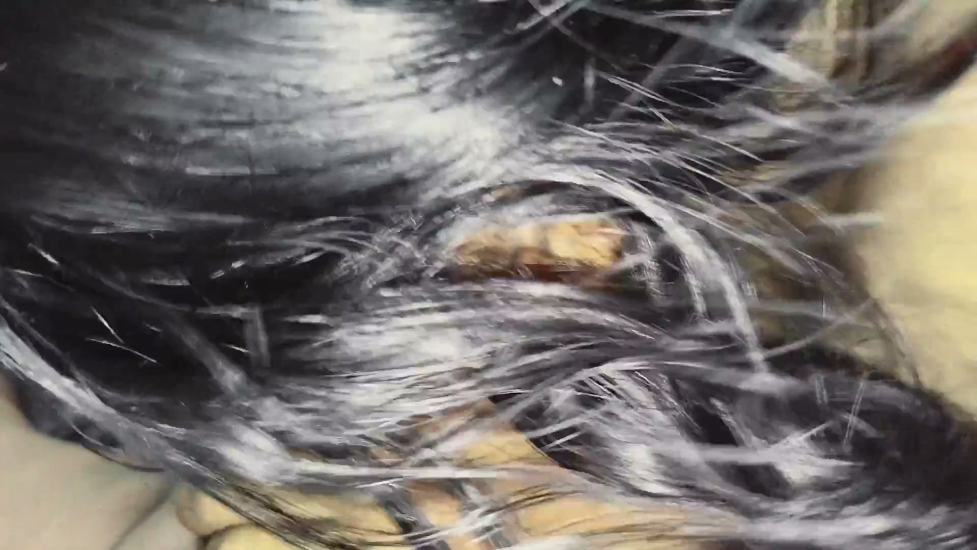 Frame 9