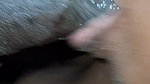 Desi Tamil Wife Sucking Husband Dick Come in Mouth