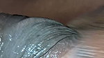 Desi Tamil Wife Sucking Husband Dick Come in Mouth