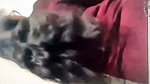 Chubby Girl Bj sex