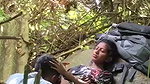 jungle mein chut chati