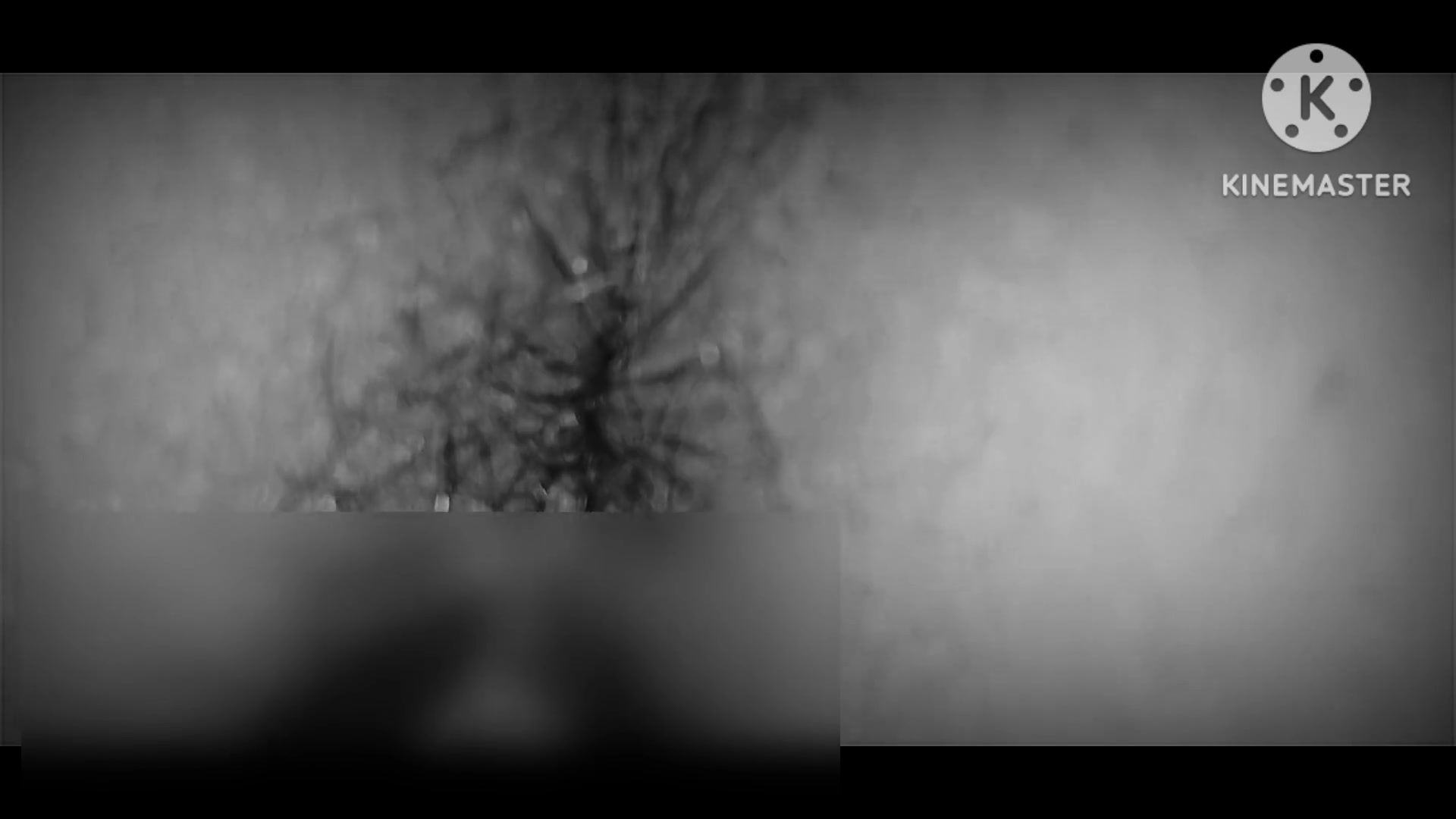 Frame 1
