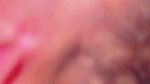 Indian Horney Lovers Having Real Close up Sex